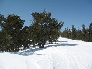 IMG_0003