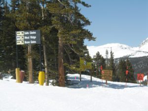 IMG_0006