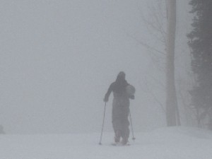 IMG_3646