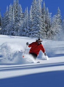 POWDER RESEARCH