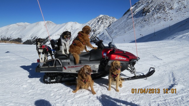 Arapahoe Basin Avalanche Dogs Snowmobiling