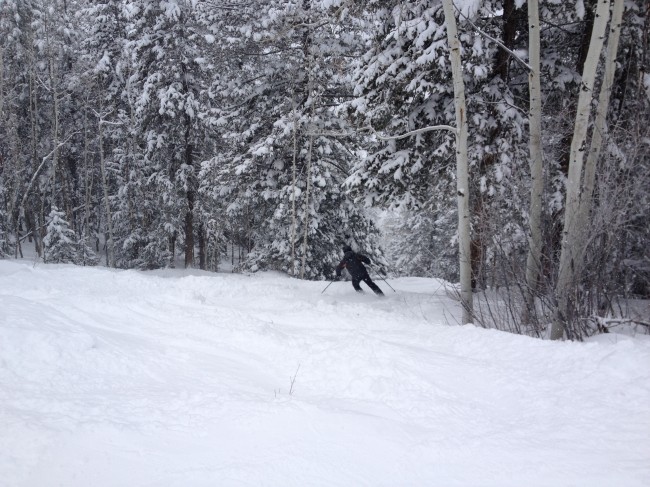 Skiing down the Bingo Glades in Aspen Mountain after the mountain received almost two feet of snow in one week.