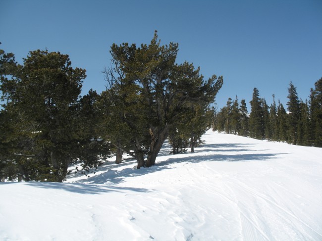 Eldora Mountain Resort