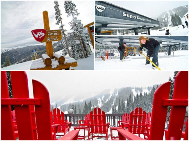 WP Mary Jane collage 11-22