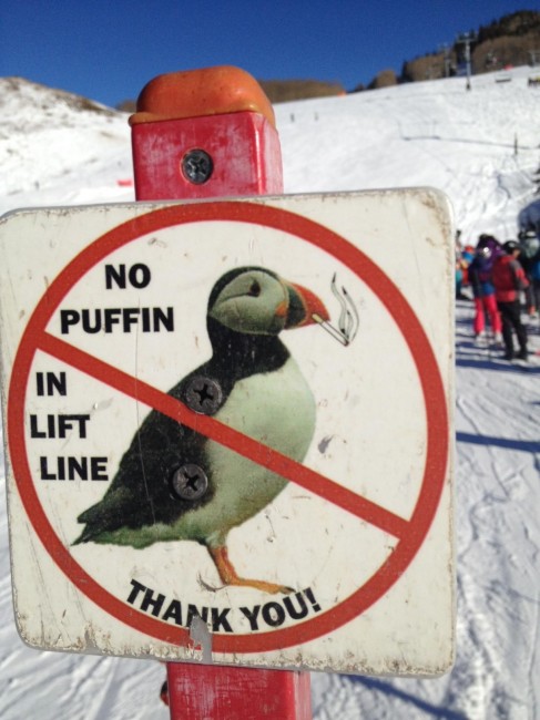 CB No Puffin
