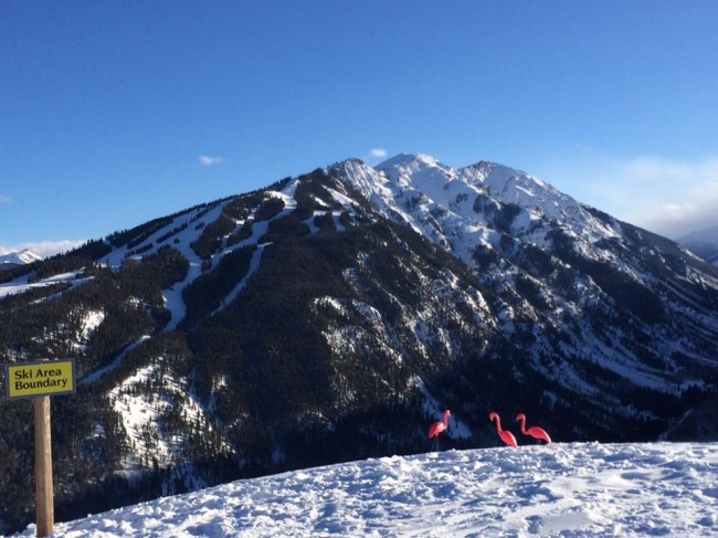 Veronica Whitney, Aspen/Snowmass