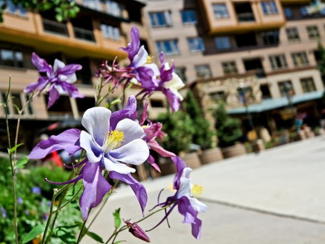 Photo by Sarah Wieck, Winter Park Resort