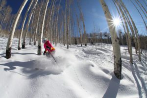 Photo by Casey Day, Powderhorn