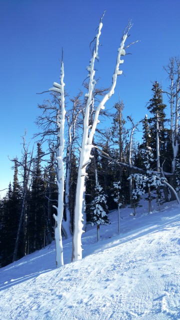 eldora_12_18_2016 cold (1)