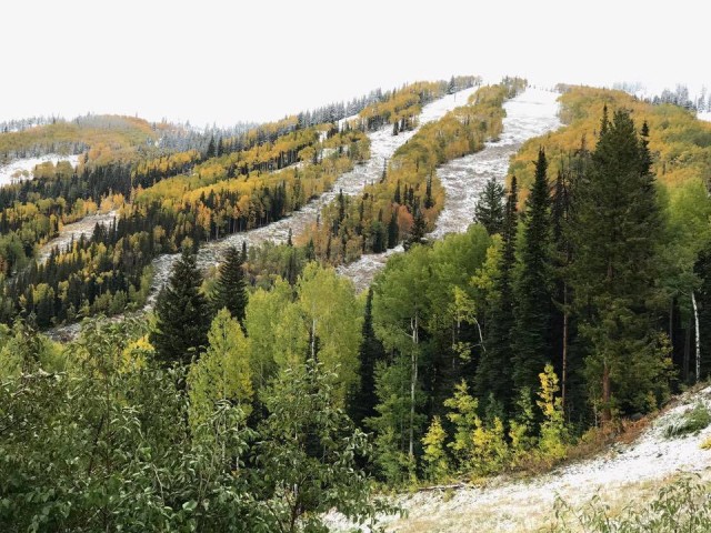 Photo courtesy of Steamboat Resort. 