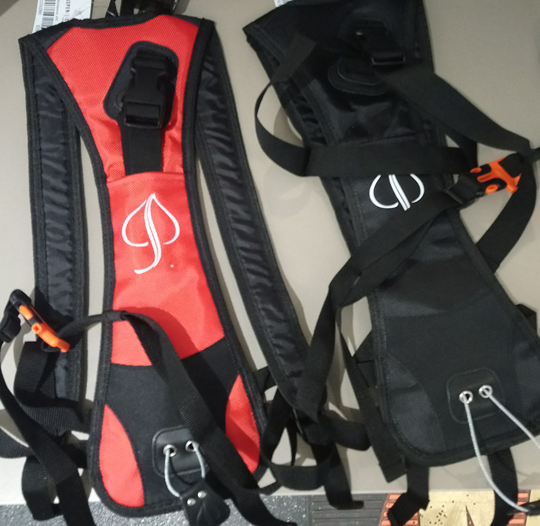 Aspen Ski Carrier