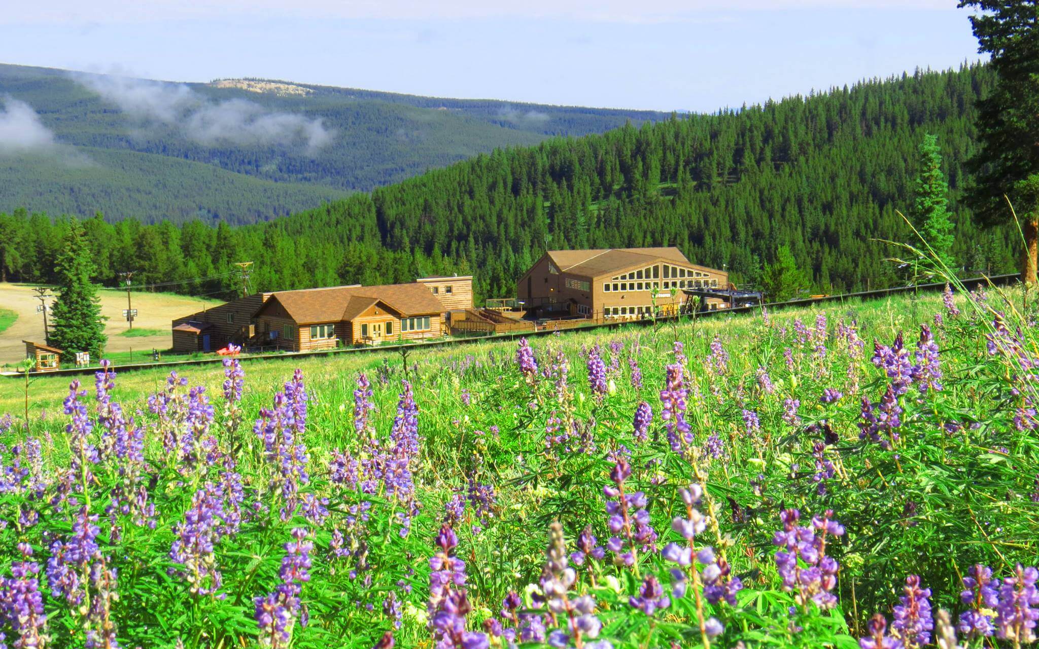 Cooper Summer Lodge 2