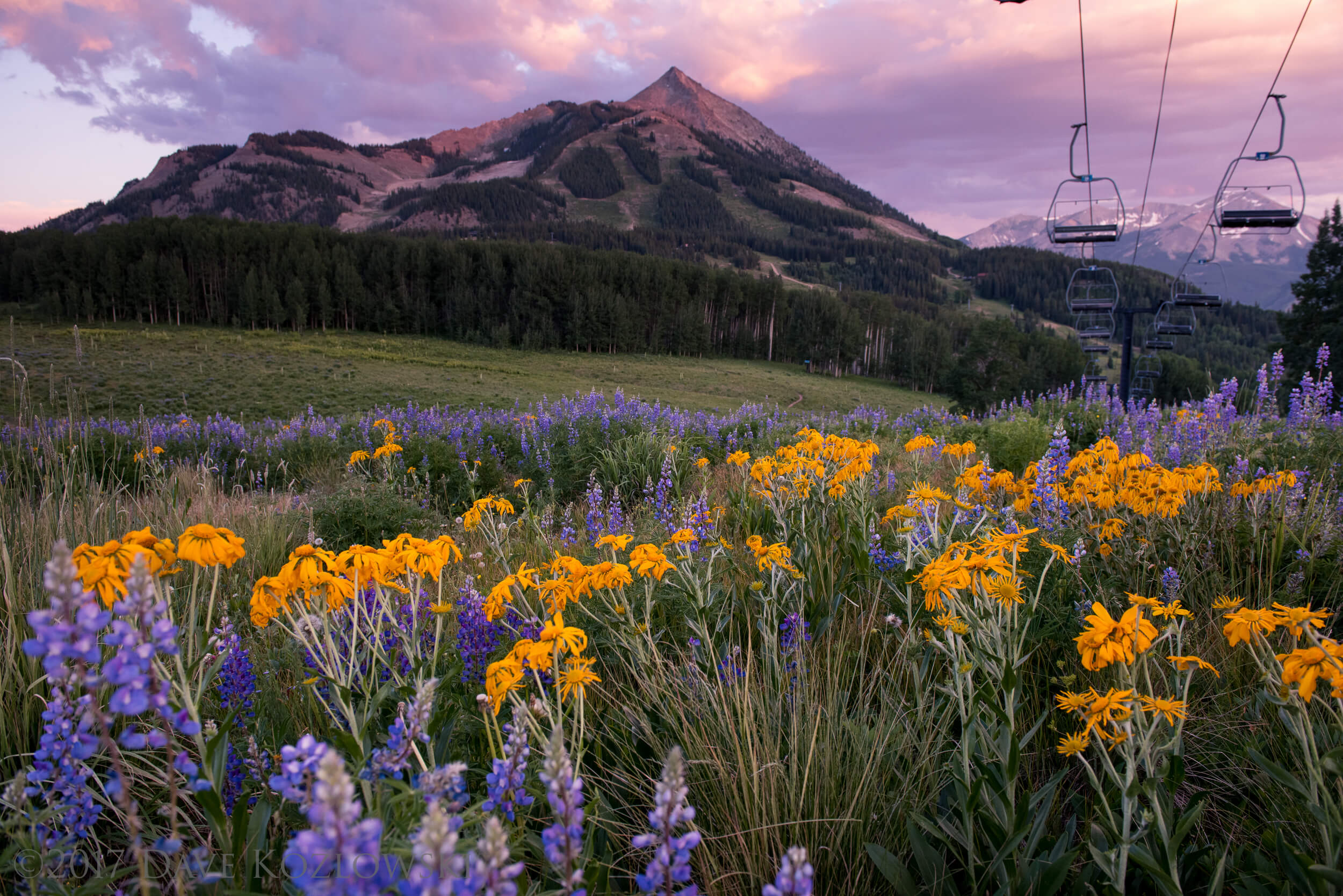 Crested Butte Kozlowski DKP 7454