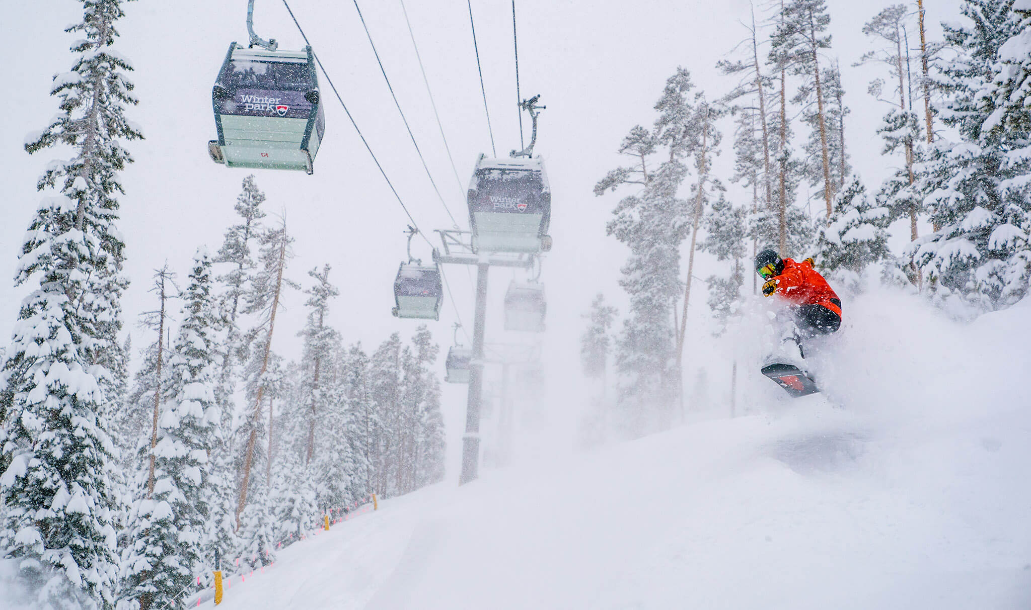 2019-03-03 WP PowDay Cfrey-05842 2048px (1)