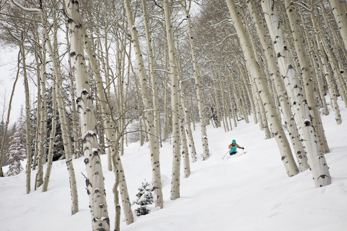Going out the Gate: Why Backcountry Decision Making Matters on the Resort