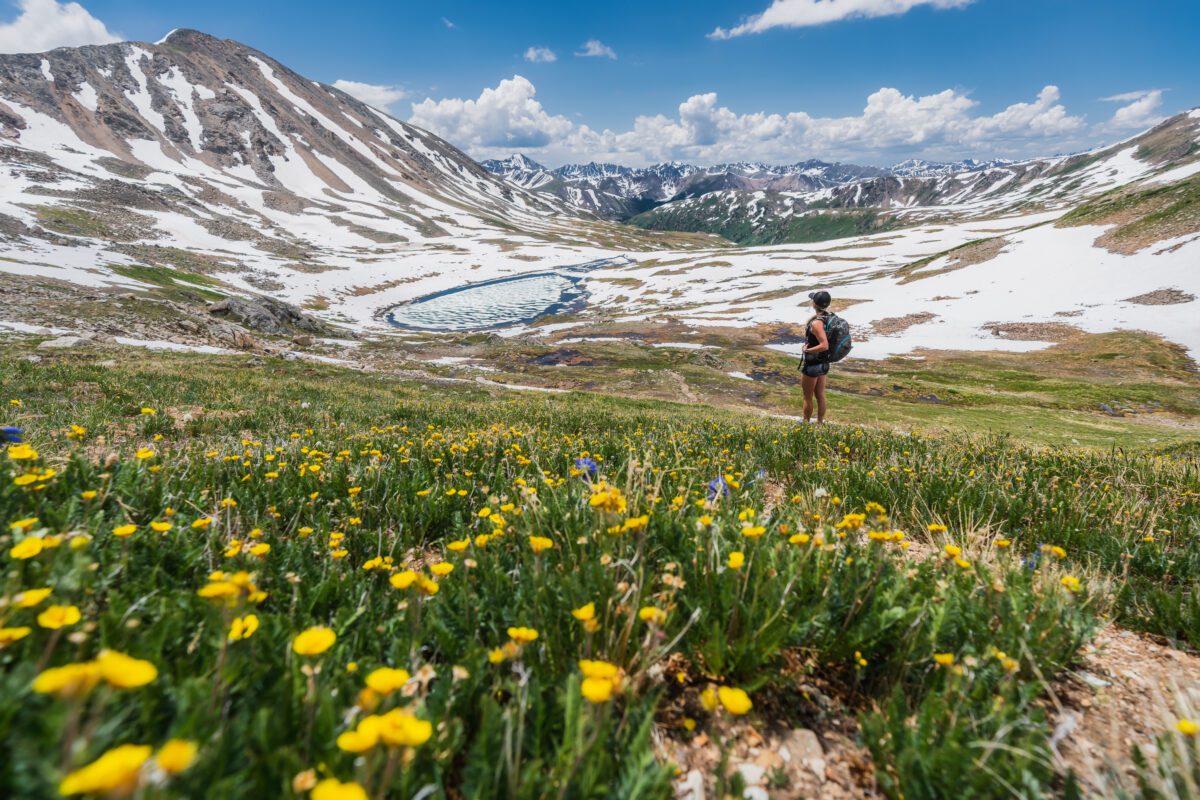 Someone in a baseball cap enjoys a wide open mountain view with yellow wildflowers and lingering snow.